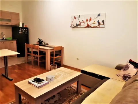 Prodaja, jednosoban stan, 46m², Zabjelo, Podgorica - image 9