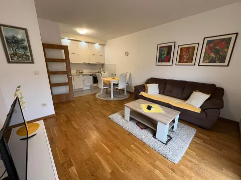 Izdavanje, jednosoban stan, 50m², Stari Aerodrom, Podgorica - image 4