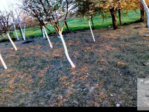 Prodaja, kuća, 73m², Ruma, Srbija - image 3