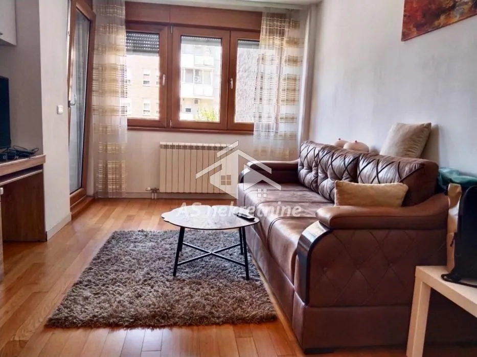 Izdavanje, dvosoban stan, 55m², Novi Beograd Blok 67, Novi Beograd Sve Podlokacije