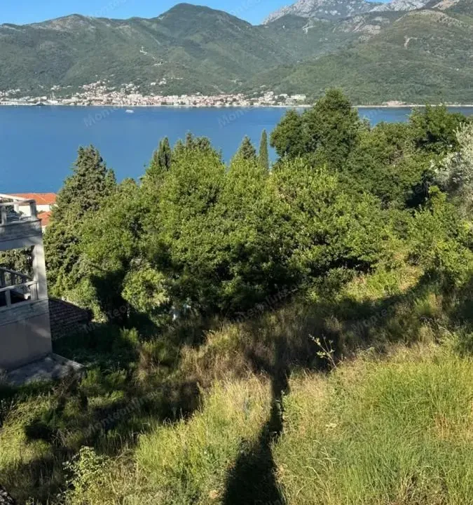 Prodaja, plac, 3161m², Donja Lastva, Tivat