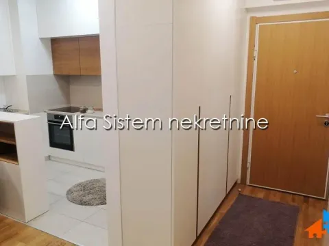 Izdavanje, dvosoban stan, 67m², Novi Beograd Sve Podlokacije, Beograd - image 12