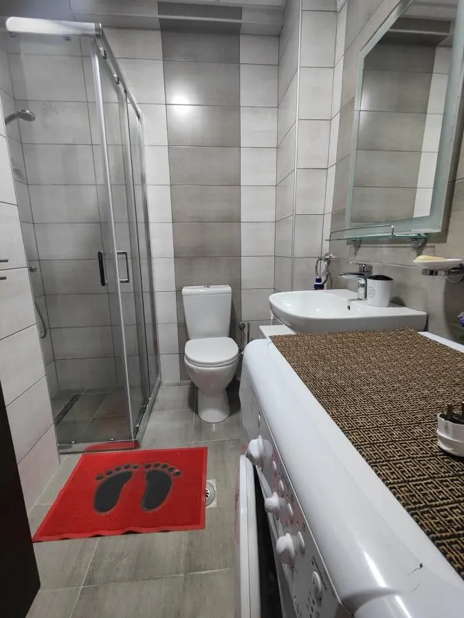 Izdavanje, jednosoban stan, 32m², Aqua park, Jagodina