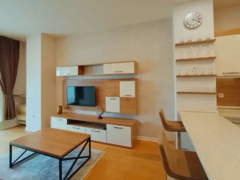 Izdavanje, jednosoban stan, 47m², Tree cane, Budva - image 2