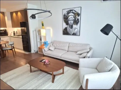 Izdavanje, dvosoban stan, 61m², Savski Venac, Beograd - image 3