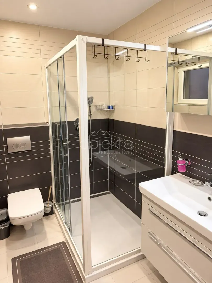 Modernly equipped bathroom with a walk-in shower, washbasin, and toilet.