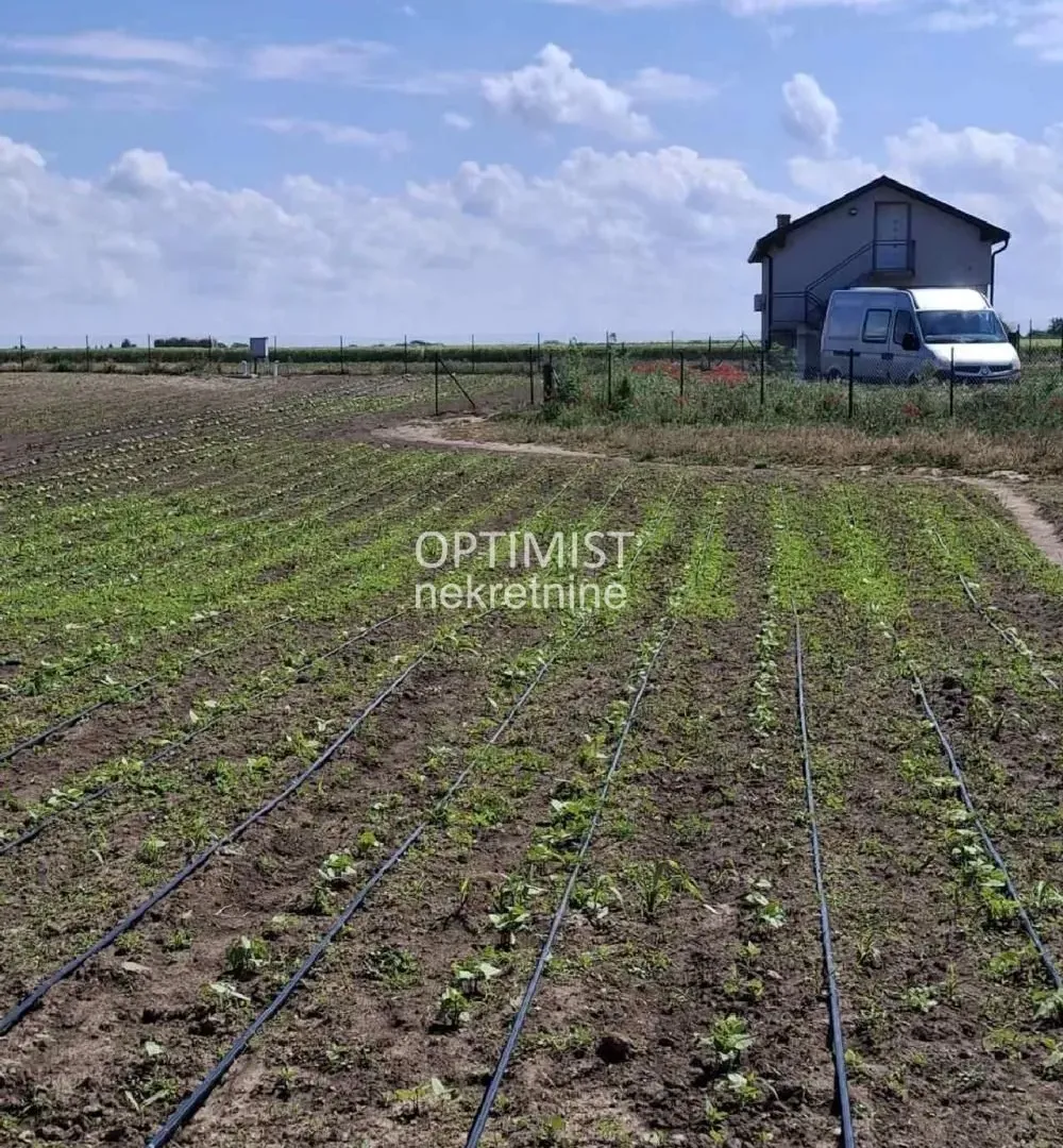 Prodaja, plac, 15000m², Belegiš, Stara Pazova