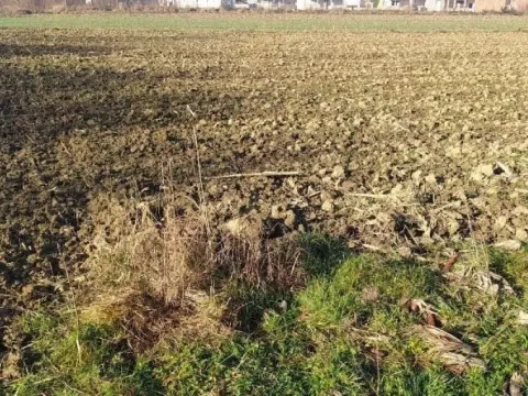 Prodaja, plac, 600m², Ub, Srbija - image 4