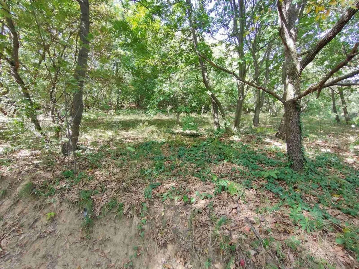 Prodaja, plac, 1100m², Irig, Srbija