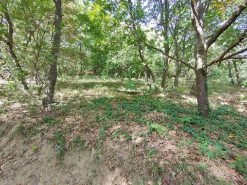 Sale, land lot, 1100m², Irig, Srbija - image 6