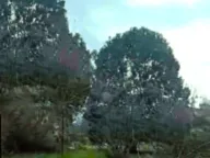 Sale, house, 2401m², Rogami, Podgorica - image 12