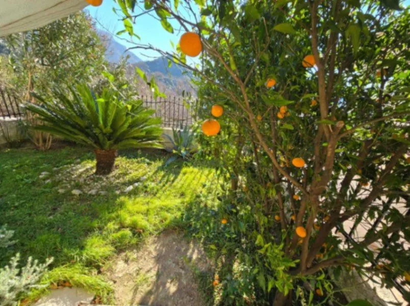 Sale, house, 276m², Buljarica, Budva