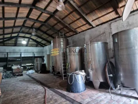 Prodaja, kuća, 1500m², Padej, Čoka - image 46