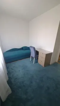 Izdavanje, dvosoban stan, 57m², Liman 4, Novi Sad Sve Podlokacije - image 5