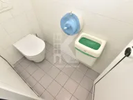 Izdavanje, poslovni prostor, 318m², Preko Morače, Podgorica - image 9