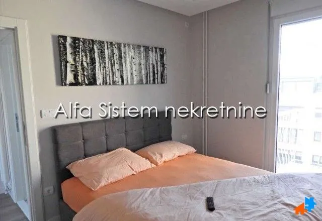 Izdavanje, dvosoban stan, 50m², Vračar Centar, Vračar Sve Podlokacije