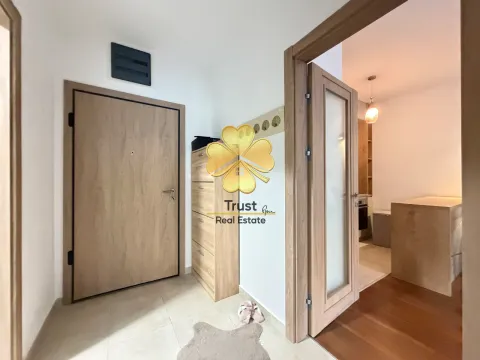 Izdavanje, jednosoban stan, 50m², Master Kvart, Podgorica - image 6