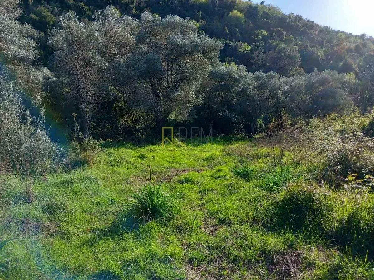 Prodaja, plac, 6700m², Kruče, Ulcinj