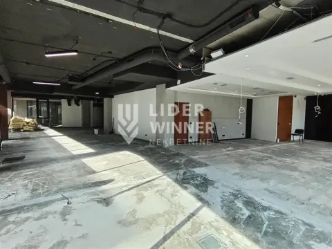 Prodaja, poslovni prostor, 347m², Južni Bulevar, Vračar Sve Podlokacije - image 6