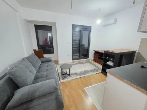 Rent, studio apartment, 30m², Zagorič, Podgorica - image 12