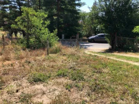 Sale, land lot, 1300m², Usije, Golubac - image 11