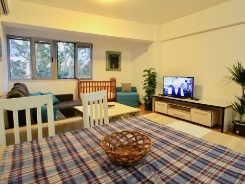 Stan-na-dan, jednosoban stan, 51m², Bar, Crna Gora - image 4