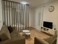 Rent, studio apartment, 37m², Malo Brdo, Podgorica - image 10