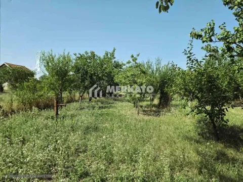 Sale, land lot, 3100m², Bagljaš, Zrenjanin - image 3