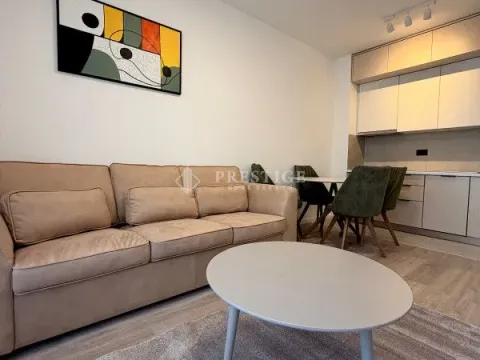 Izdavanje, jednosoban stan, 35m², Zabjelo, Podgorica - image 1
