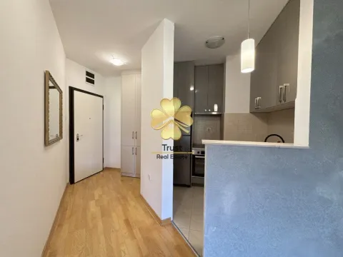 Rent, one bedroom apartment, 50m², Preko Morače, Podgorica - image 4