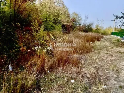 Pogled na obraslo zemljište sa drvećem i rastinjem. - image 4