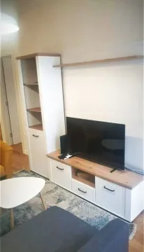 Izdavanje, jednosoban stan, 43m², Central Point, Podgorica - image 4