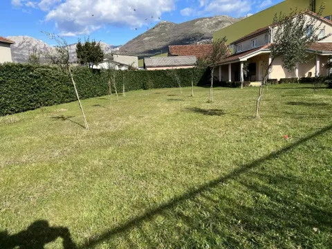 Prostrano travnato dvorište sa mladim drvećem i kućom u pozadini. - image 4