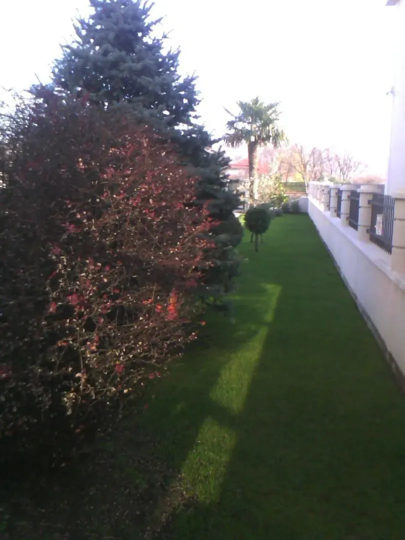 Tidy yard with a green lawn, decorative bushes, and trees along the fence.