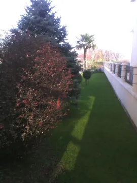 Tidy yard with a green lawn, decorative bushes, and trees along the fence. - image 3