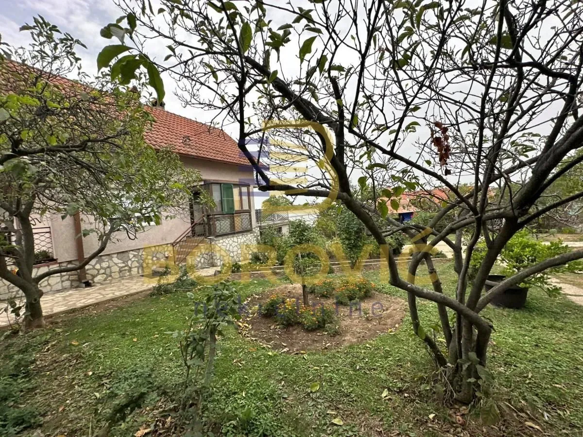 Pogled na dvorište i kuću sa drvećem.