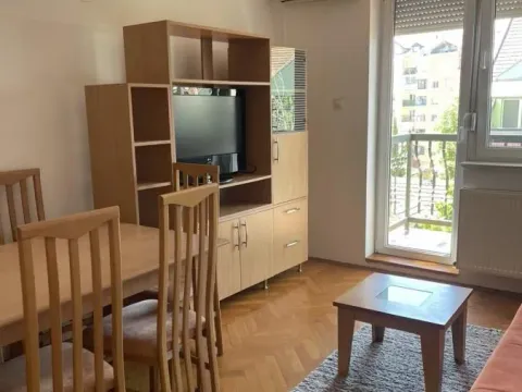 Izdavanje, jednosoban stan, 43m², Grbavica, Novi Sad Sve Podlokacije - image 3