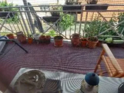 Prodaja, kuća, 384m², Aqua park, Jagodina - image 30