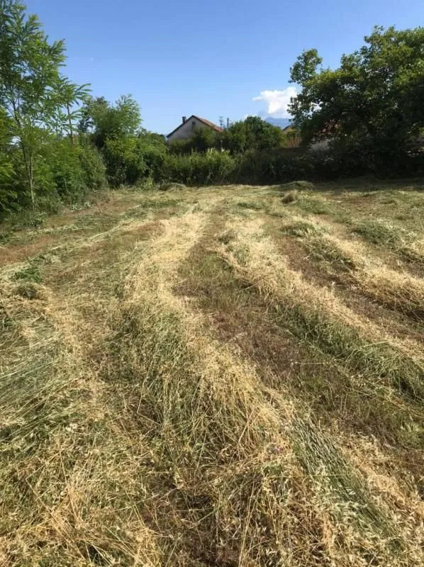 Prodaja, plac, 1019m², Golubovci, Podgorica