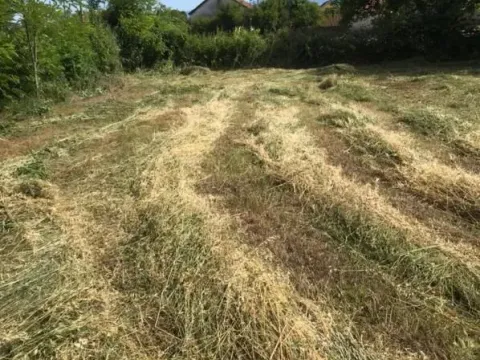 Prodaja, plac, 1019m², Golubovci, Podgorica - image 2