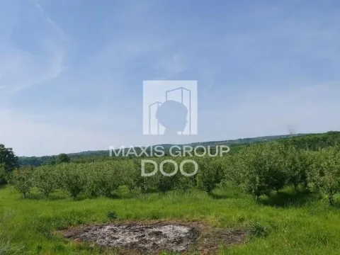 Prodaja, plac, 64800m², Kosmaj, Sopot - image 11