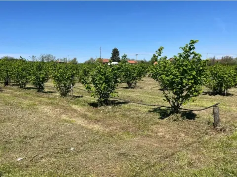 Prodaja, plac, 5000m², Vladimirci, Srbija - image 18