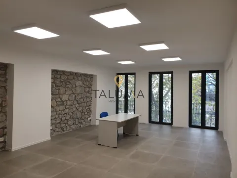 Izdavanje, poslovni prostor, 120m², Centar, Podgorica