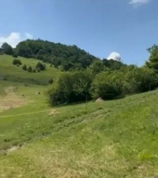 Prodaja, plac, 989m², Zlatibor, Srbija - image 8