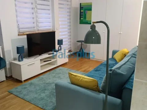 Izdavanje, jednosoban stan, 31m², Olimp, Zvezdara Sve Podlokacije - image 2