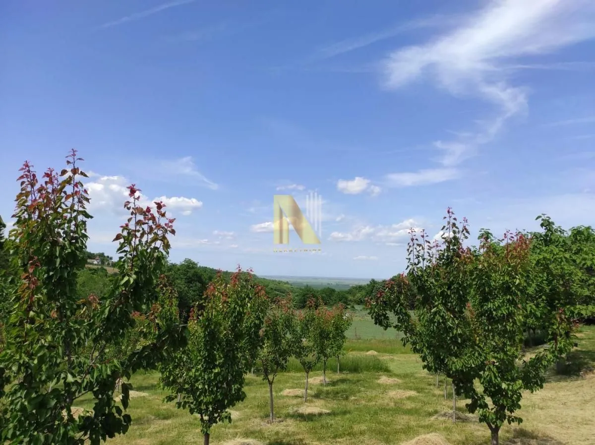 Prodaja, kuća, 60m², Sremski Karlovci, Novi Sad