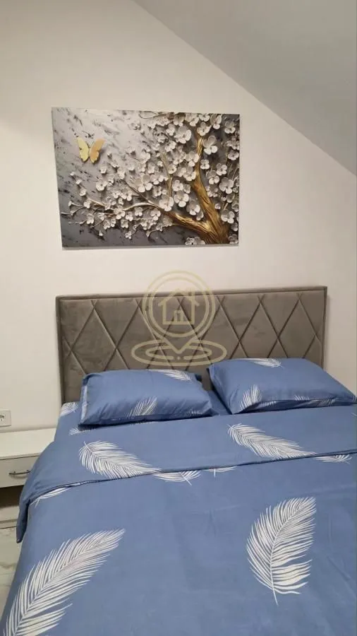 Rent, one bedroom apartment, 45m², Veternik, Novi Sad Sve Podlokacije