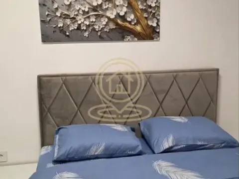 Rent, one bedroom apartment, 45m², Veternik, Novi Sad Sve Podlokacije - image 11