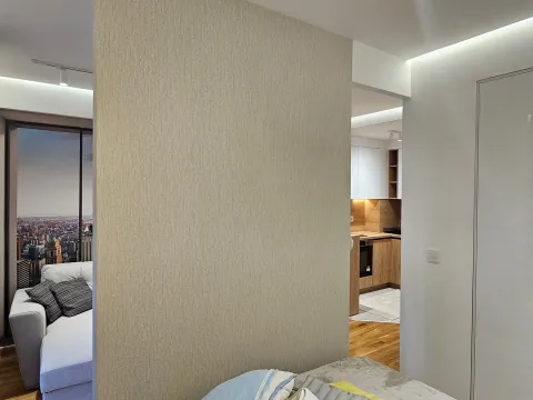 Rent, one bedroom apartment, 33m², Zabjelo, Podgorica - image 7