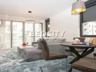 Izdavanje, dvosoban stan, 53m², Višnjica, Palilula Sve Podlokacije - image 4